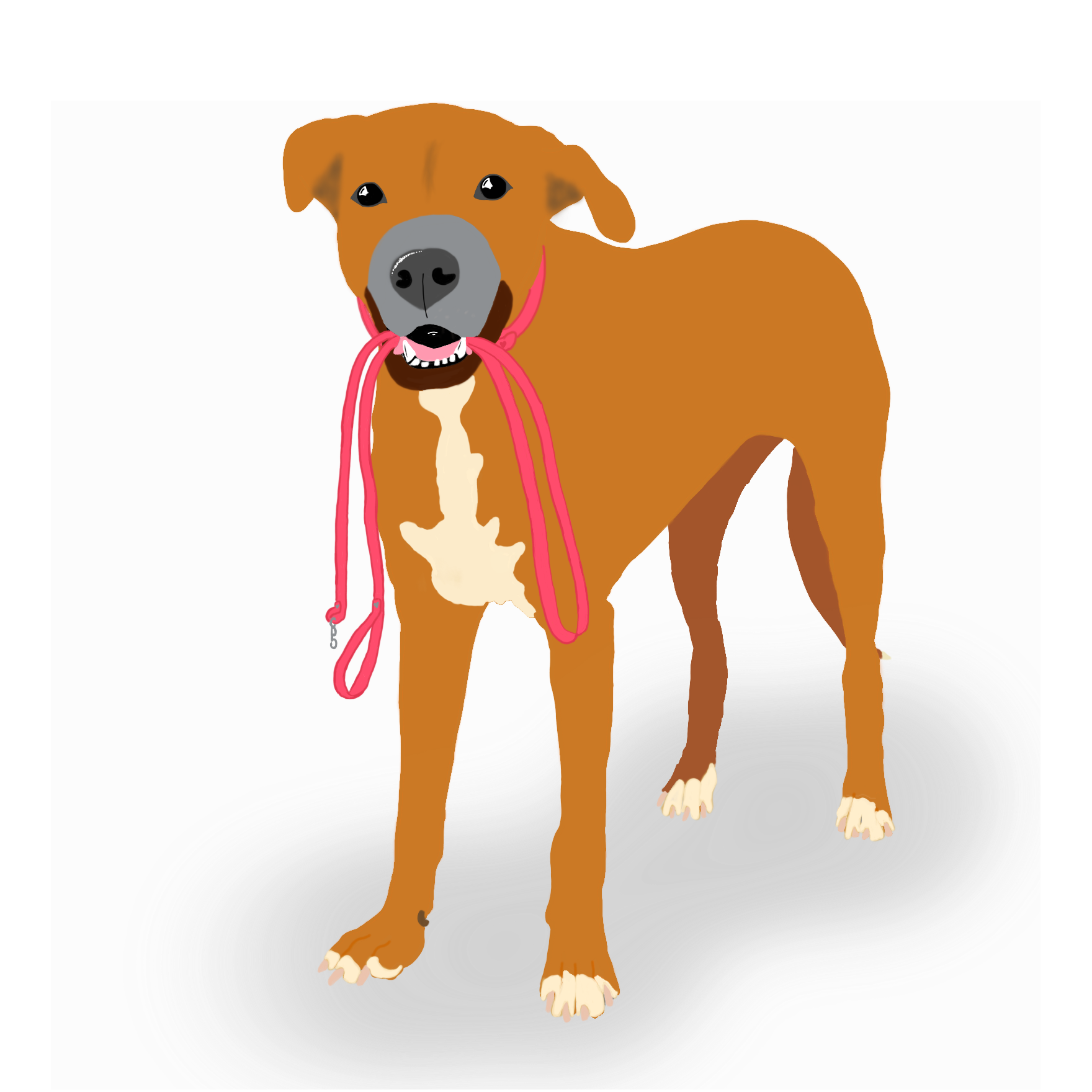 The Walkies App