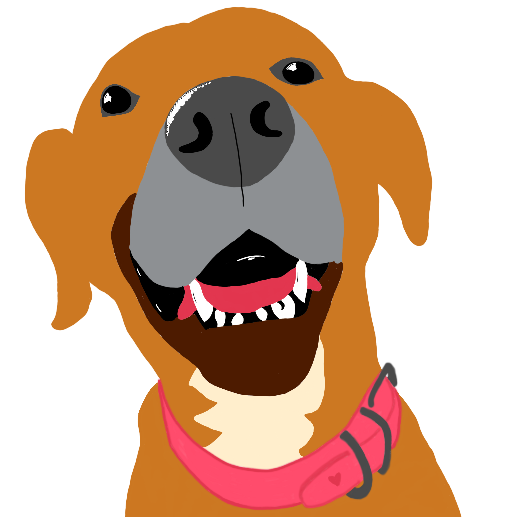 The Walkies App Logo